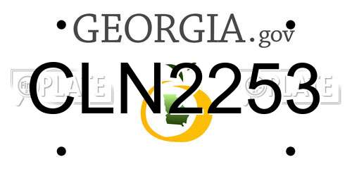 CLN2253 Georgia License Plate