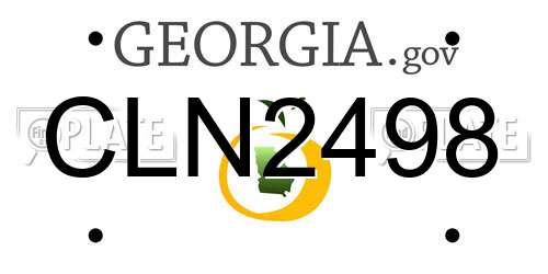 CLN2498 Georgia License Plate