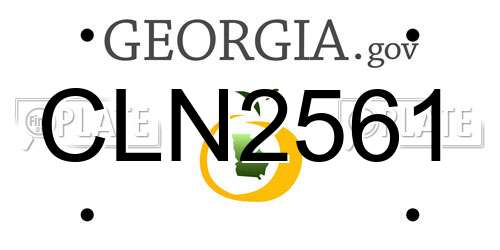 CLN2561 Georgia License Plate