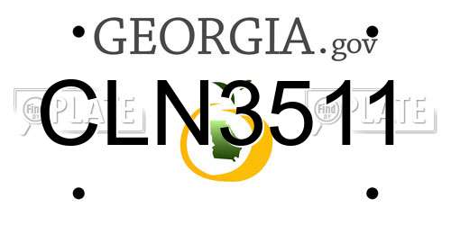 CLN3511 Georgia License Plate