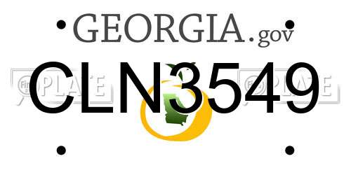 CLN3549 Georgia License Plate