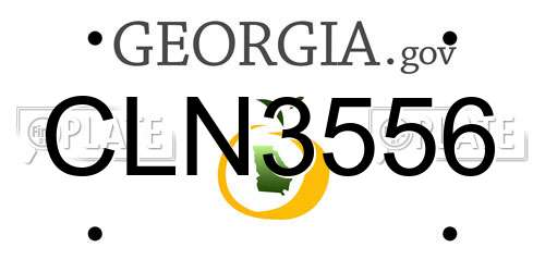 CLN3556 Georgia License Plate