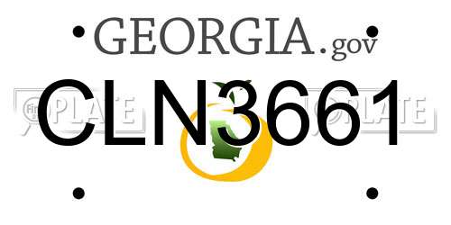 CLN3661 Georgia License Plate