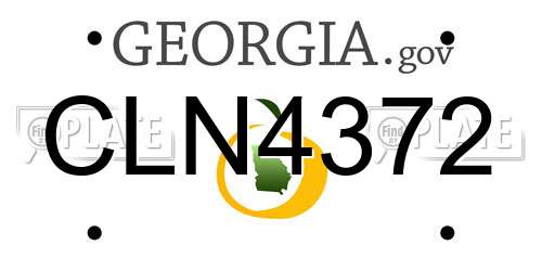 CLN4372 Georgia License Plate
