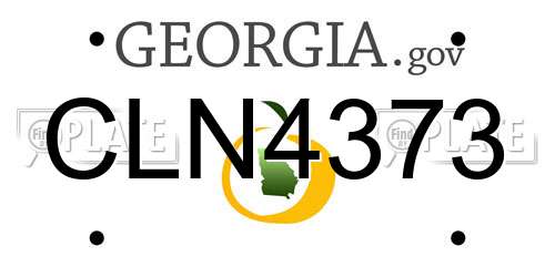CLN4373 Georgia License Plate