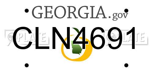 CLN4691 Georgia License Plate