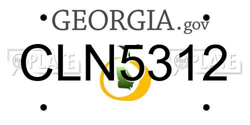 CLN5312 Georgia License Plate