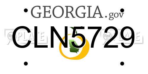 CLN5729 Georgia License Plate