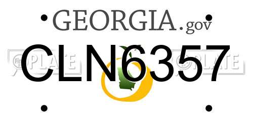 CLN6357 Georgia License Plate