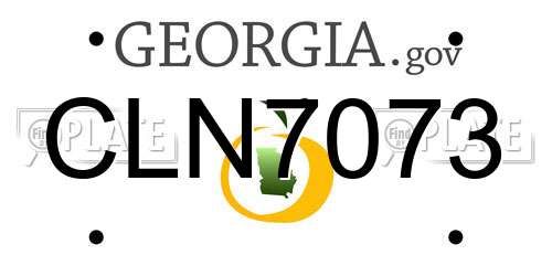 CLN7073 Georgia License Plate