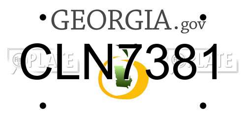 CLN7381 Georgia License Plate