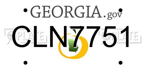 CLN7751 Georgia License Plate