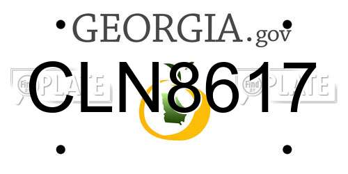 CLN8617 Georgia License Plate
