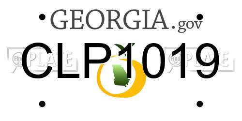 CLP1019 Georgia License Plate
