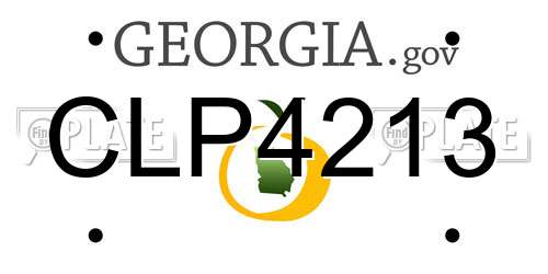 CLP4213 Georgia License Plate