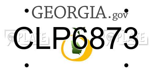 CLP6873 Georgia License Plate
