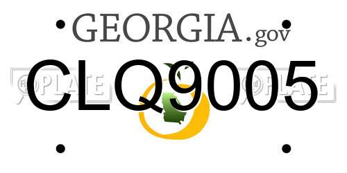 CLQ9005 Georgia License Plate
