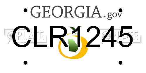 CLR1245 Georgia License Plate