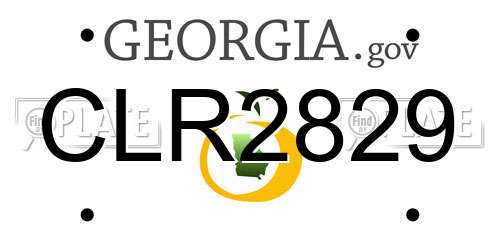 CLR2829 Georgia License Plate