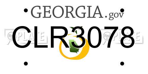 CLR3078 Georgia License Plate