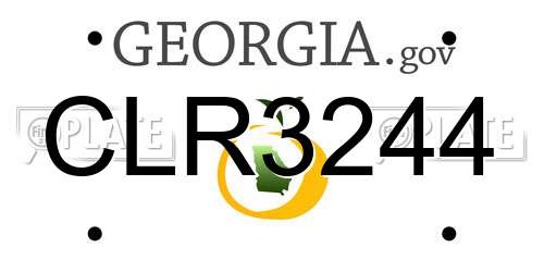 CLR3244 Georgia License Plate