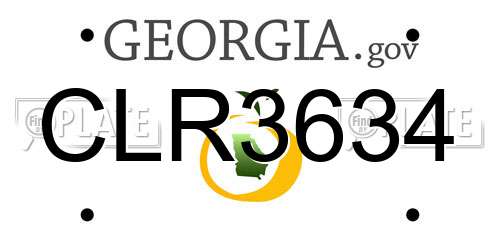 CLR3634 Georgia License Plate