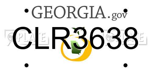 CLR3638 Georgia License Plate
