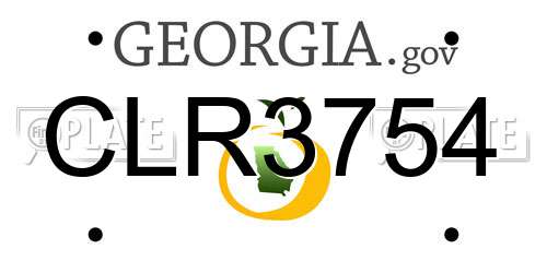 CLR3754 Georgia License Plate