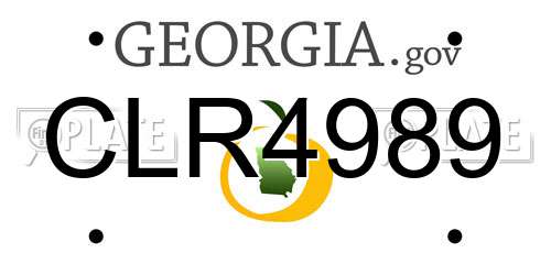 CLR4989 Georgia License Plate