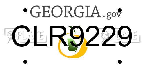 CLR9229 Georgia License Plate