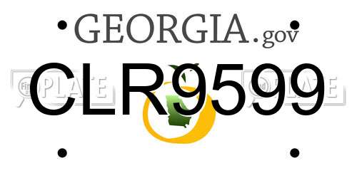 CLR9599 Georgia License Plate