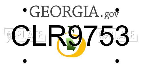 CLR9753 Georgia License Plate