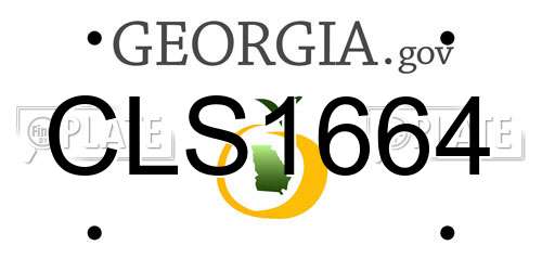 CLS1664 Georgia License Plate