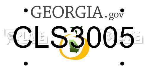 CLS3005 Georgia License Plate