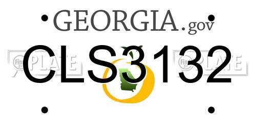 CLS3132 Georgia License Plate