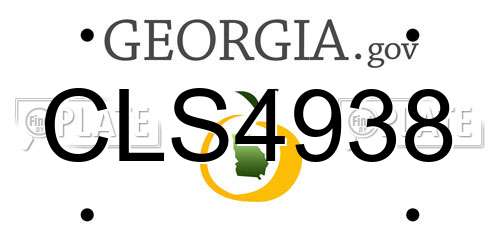 CLS4938 Georgia License Plate