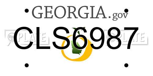 CLS6987 Georgia License Plate