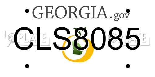 CLS8085 Georgia License Plate
