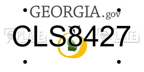 CLS8427 Georgia License Plate