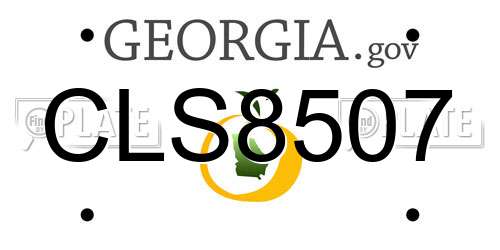 CLS8507 Georgia License Plate