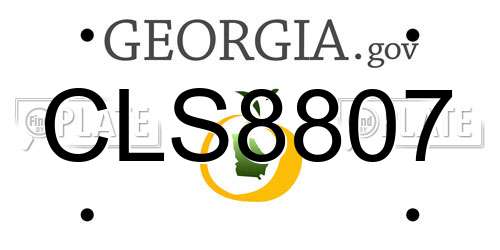 CLS8807 Georgia License Plate