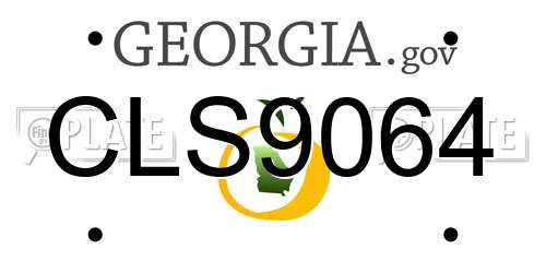 CLS9064 Georgia License Plate