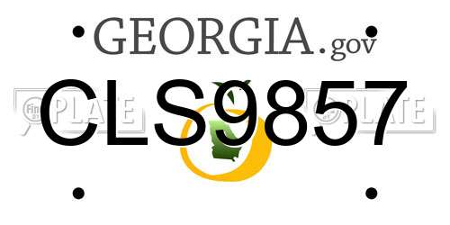 CLS9857 Georgia License Plate