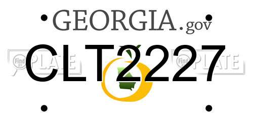 CLT2227 Georgia License Plate
