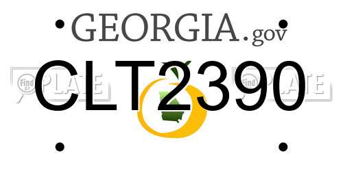 CLT2390 Georgia License Plate