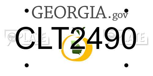 CLT2490 Georgia License Plate