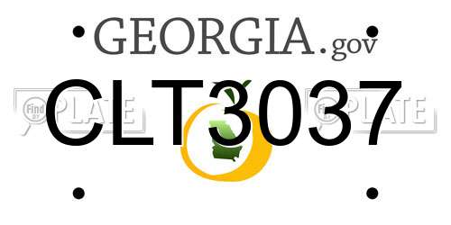 CLT3037 Georgia License Plate