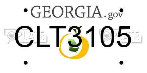 CLT3105 Georgia License Plate