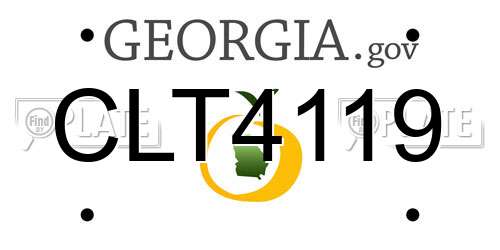 CLT4119 Georgia License Plate
