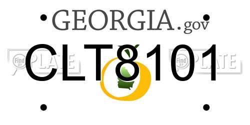 CLT8101 Georgia License Plate